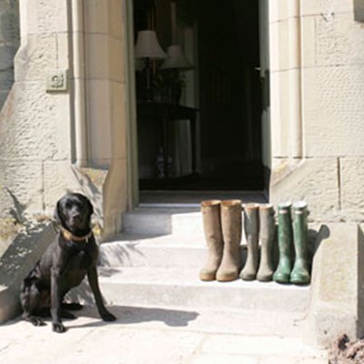 Rates & Availability